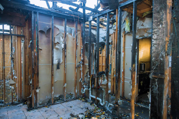 Professional Smoke Damage Removal technician working in Latta, OK